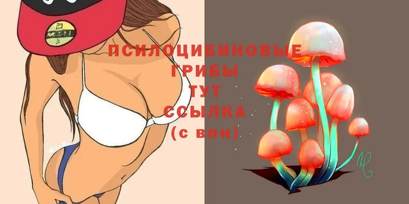 Галлюциногенные грибы Magic Shrooms  цены наркотик  Борисоглебск 